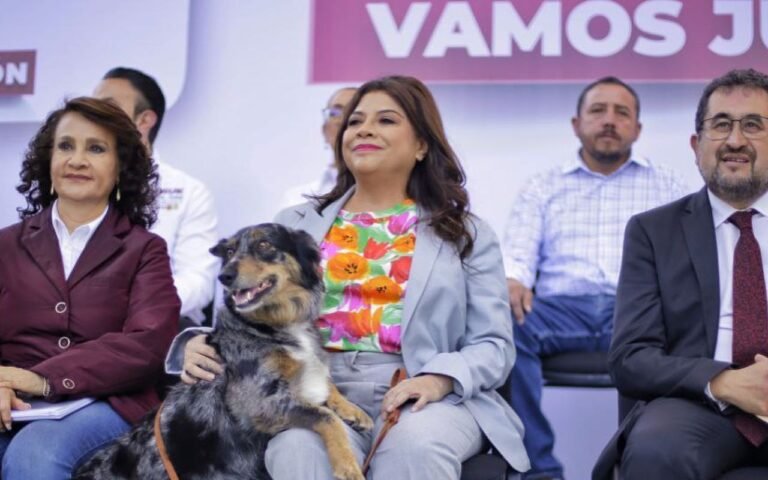 RETOMA CLARA BRUGADA PROGRAMA “CONSERVADOR”