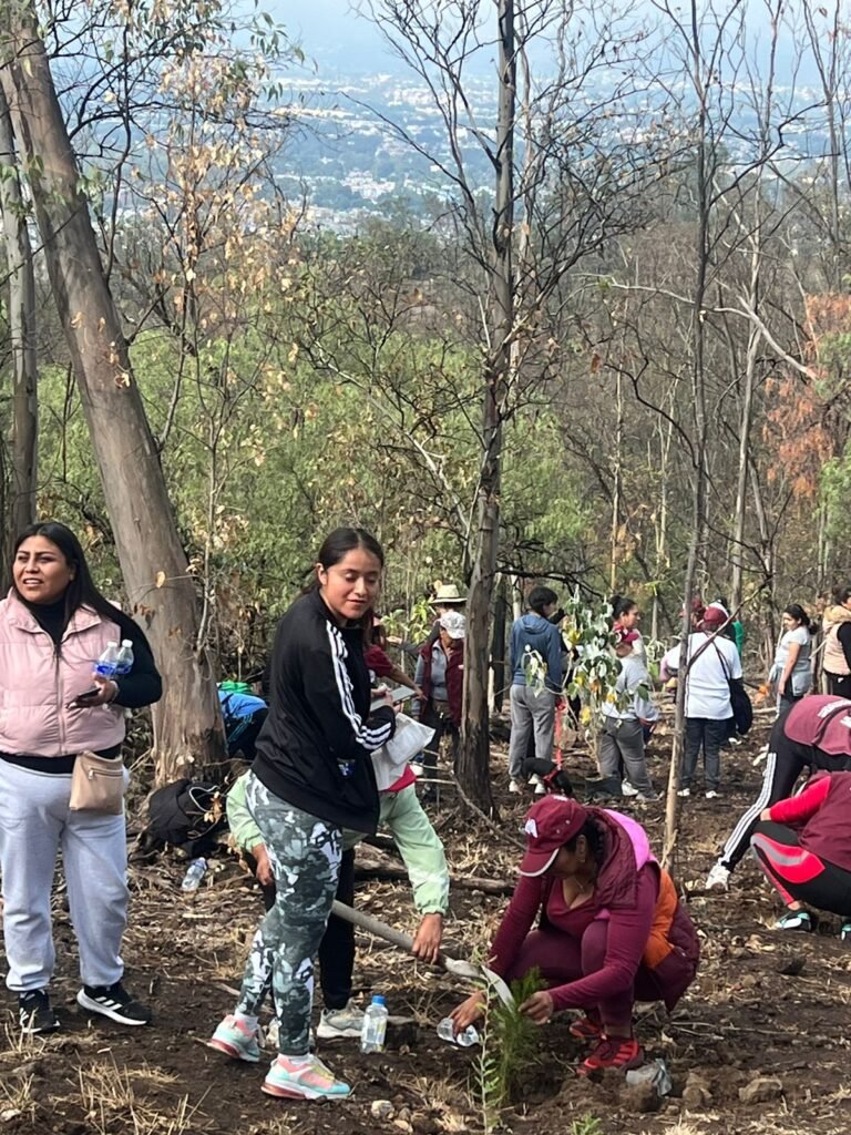 ALEIDA ALAVEZ REALIZA REFORESTACIÓN DEL CERRO DE LA ESTRELLA