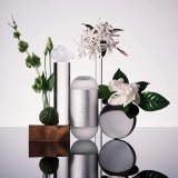 71IBvj6urvL._AC_SL1500_